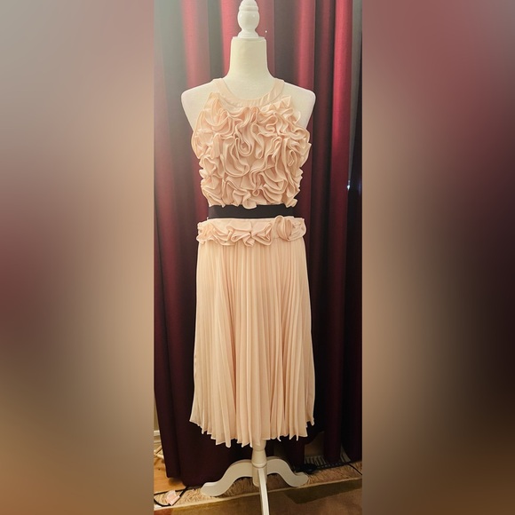 Stunning Cocktail Dress - Picture 2 of 5